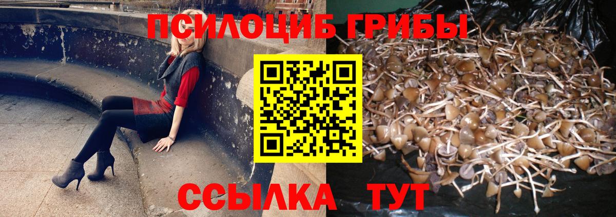 Сердобск  Псилоцибиновые грибы ЛСД  Вход с VPN 